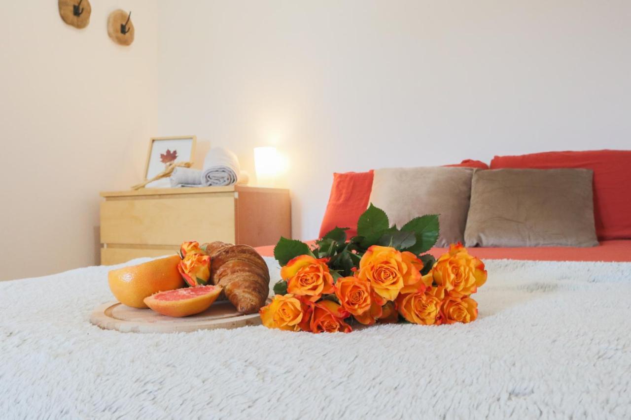 Apartament Le Cocon, Paisible & Doux Wahlbach Zewnętrze zdjęcie